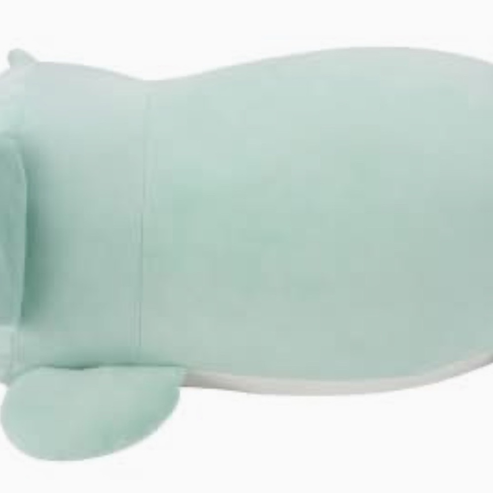 Squishmallows Sleepamallow Coco MINT GREEN KOALA 18inches NEW 4 available! - Picture 5 of 5
